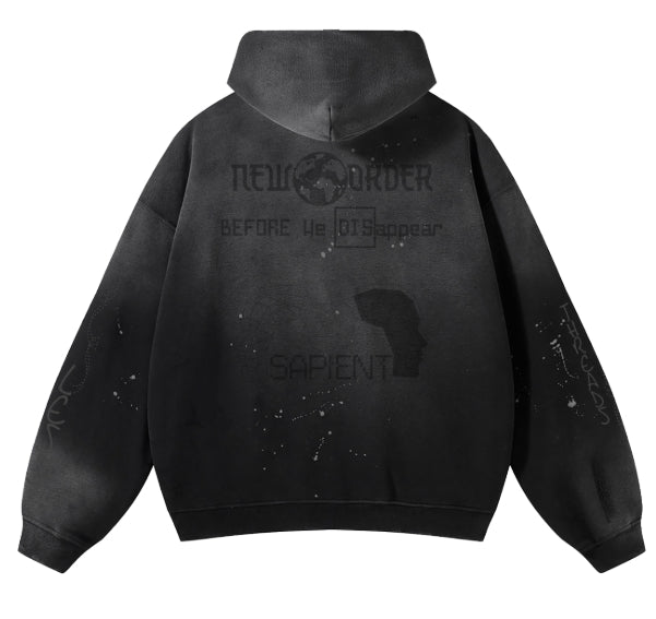 'Before we disappear' Hoodie