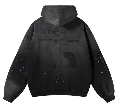'Before we disappear' Hoodie